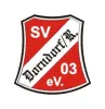 SV 03 Dorndorf