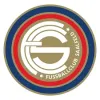 Vfl 06 Saalfeld