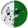 SG Nessetal Wenigenlupnitz