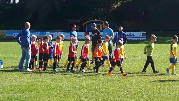 19.08.2017 FSV Leimbach vs. SV Gumpelstadt